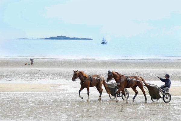 Mobile-Home 100M Plage Utah Mme Surget Sainte-Marie-du-Mont  Ngoại thất bức ảnh